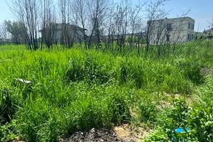 ділянка за адресою Виноградна вул., 27