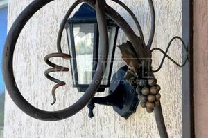 будинок за адресою Вишгородський
