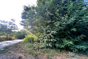 ділянка за адресою курортна