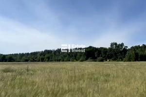 ділянка за адресою вул. Кичеївська