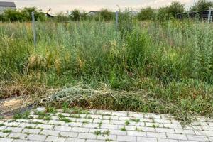 ділянка за адресою Полтавська вул., 18