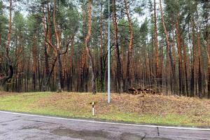ділянка за адресою Озерна вул., 33