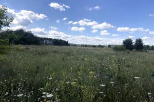 ділянка за адресою с. Березівка, 