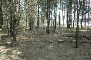 участок по адресу с. Плюты, 