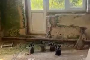 квартира за адресою Центральна, 30