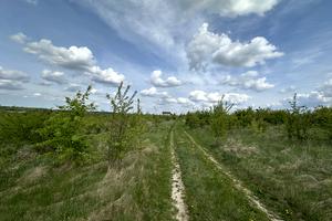 ділянка за адресою Багабунта