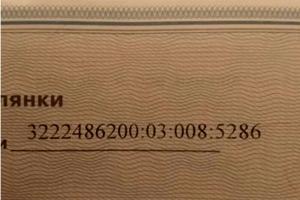 ділянка за адресою Софіївсько-Борщагівська сільська рада