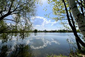 будинок за адресою Чернинська вул., 50