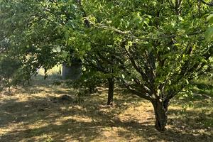 будинок за адресою Пустинська