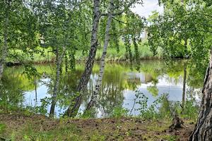 дом по адресу Польва