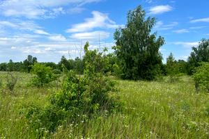 участок по адресу с. Михайловка-Рубежовка, 
