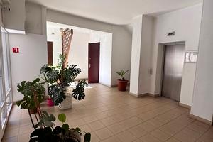 квартира по адресу Мукачевский пер., 4в