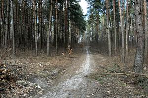участок по адресу Садовая ул.