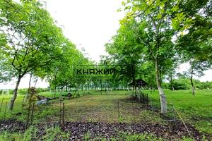 будинок за адресою Тараса Шевченка, 13А