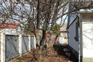 будинок за адресою Центральна