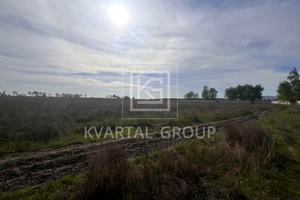 участок по адресу с. Блиставица, Поліська