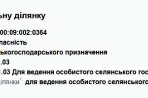 ділянка за адресою криворівня