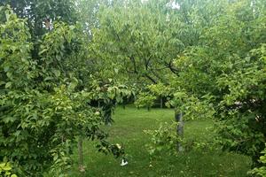 будинок за адресою Центральна вул., 26
