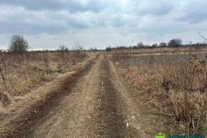 ділянка за адресою Вивізна вул.