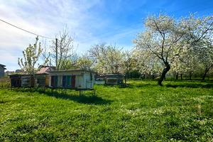 будинок за адресою польова