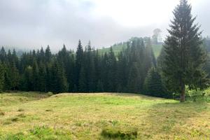 ділянка за адресою Село