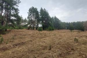 участок по адресу Васильков, 