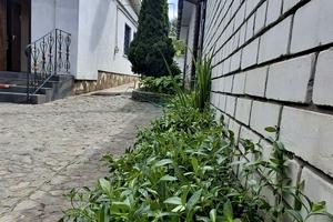дом по адресу Большая Диёвская ул. (Братьев Трофимовых)