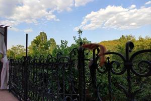 будинок за адресою Садово-Ботанічна вул. (Тимірязєвська), 24