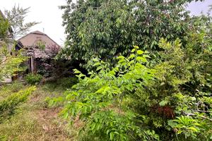 дом по адресу Рубіжна ул., 5