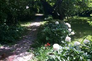 будинок за адресою Петра Сагайдачного вул., 29
