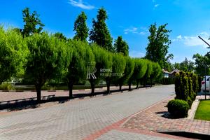 дом по адресу дачна, 84