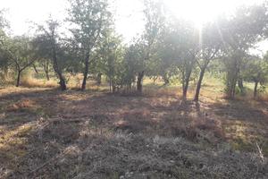 ділянка за адресою с. Лука-Мелешківська, Привокзальна