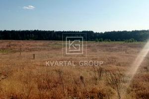 участок по адресу с. Гавриловка, Березова