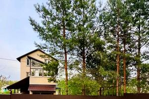 будинок за адресою Соснова