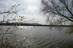 дом по адресу Мичурина ул. (Мічуріна)