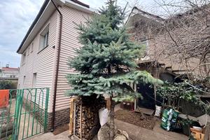 будинок за адресою Миколаївська вул.