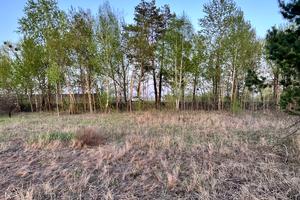 участок по адресу с. Качалы, 