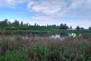 дом по адресу с. Вишенки, Вербицького