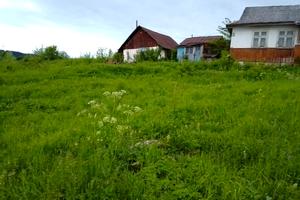 будинок за адресою смт. Делятин, Ольга Кобилянської, 68