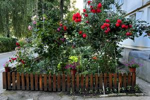квартира за адресою Шевченка вул., 105