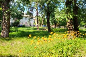комерційна за адресою Юрія Поправки вул. (Миколи Лебедєва), 14-А