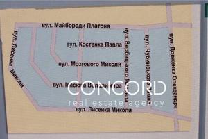 ділянка за адресою с. Петропавлівська борщагівка, Павла Чубинського вул., 20