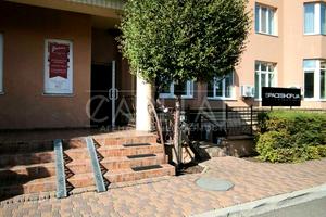 коммерческая по адресу с. Софиевская борщаговка, Андрія Малишка ул. (Льва Толстого), 102