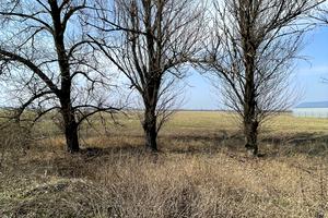 ділянка за адресою Смілянська