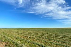 ділянка за адресою Черкаське шосе