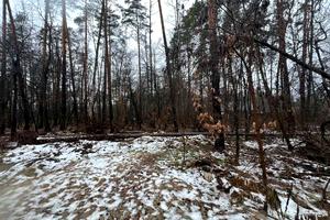 ділянка за адресою Котляревського, 53