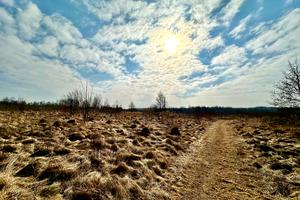 ділянка за адресою Бузкова вул.