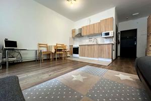 квартира за адресою Олени Пчілки вул., 7