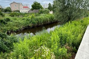 ділянка за адресою Черешнева вул., 18а
