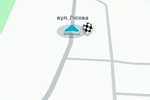 участок по адресу лісна11а